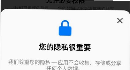 灵动岛Pro解锁版vip版下载后不显示解决方法,手机权限设置截图,无水印