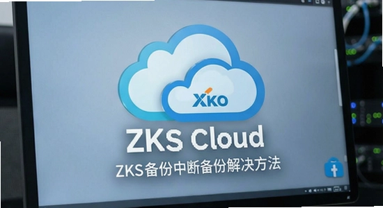 ZKS Cloud�����жϽ������