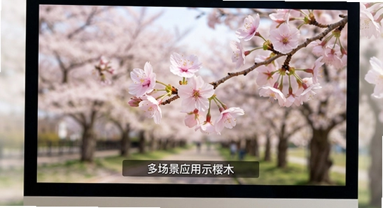 ӣ����Ļ�ೡ��Ӧ��ʾ��ͼ