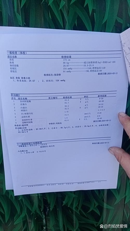 ��챨����ʱ��App����v2.2.3 �����������