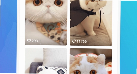 猫盒社区安装包下载页面,色彩丰富无水印宣传图