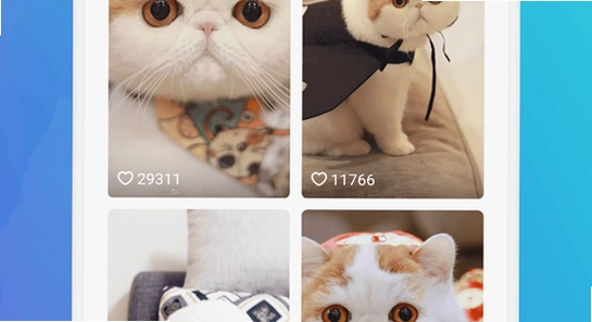 猫盒社区手机端安装界面,色彩丰富无水印宣传图
