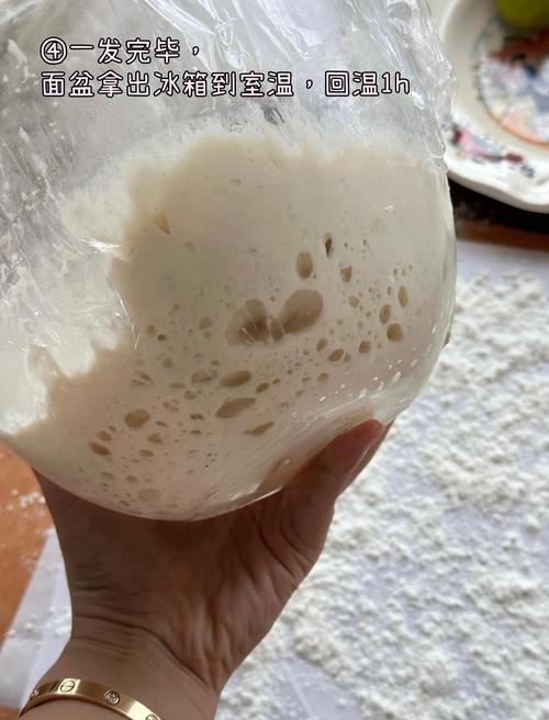 ��������Pizza Ready�ٷ������ؽ�ͼ