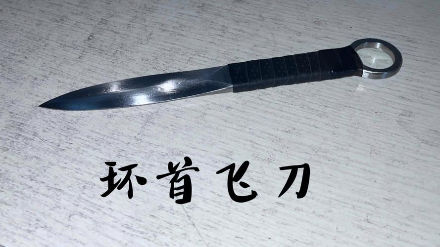 �ɵ�����Flying Knife Evolution�ٷ�������v1.2.8 ���д���