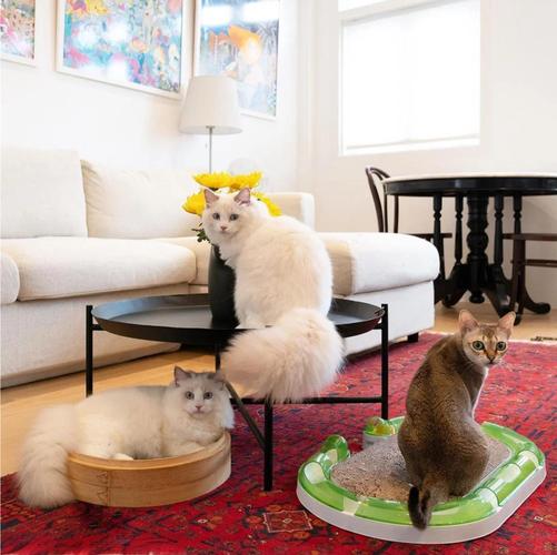 �ϲ�è�俧�ȹݣ�װ����Merge Cat Cafe�ٷ�������v1.1.52 �ϳɾ�Ӫ