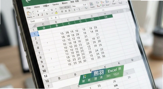 ����Excel�����ֻ��༭������չʾ