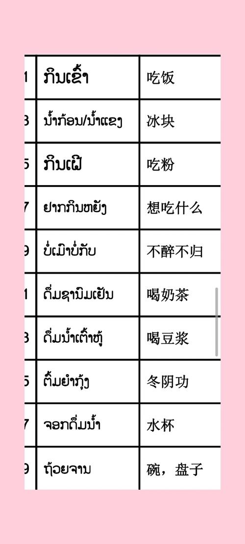 �����﷭��Laos Translate�ٷ������ؽ�ͼ