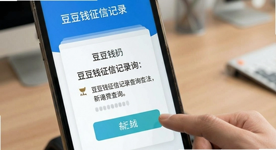 ����Ǯ���ż�¼��ѯ����