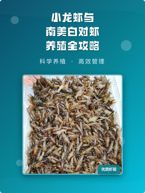 ��Ϻ�������ֹٷ�������v1.0.7 ��Ϻ����