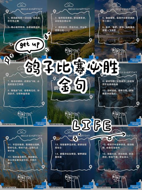 ��ʤ��Wingo�ٷ�������v10.2.7 �����˶�����