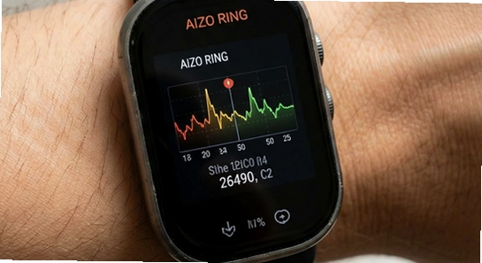 AIZO RING���������쳣ƫ��ƫ��ԭ��