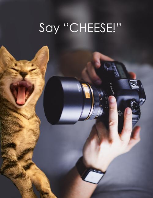 SHOW OFF�ٷ������ؽ�ͼ