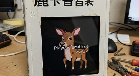 ¹���հ�װ�����˽������