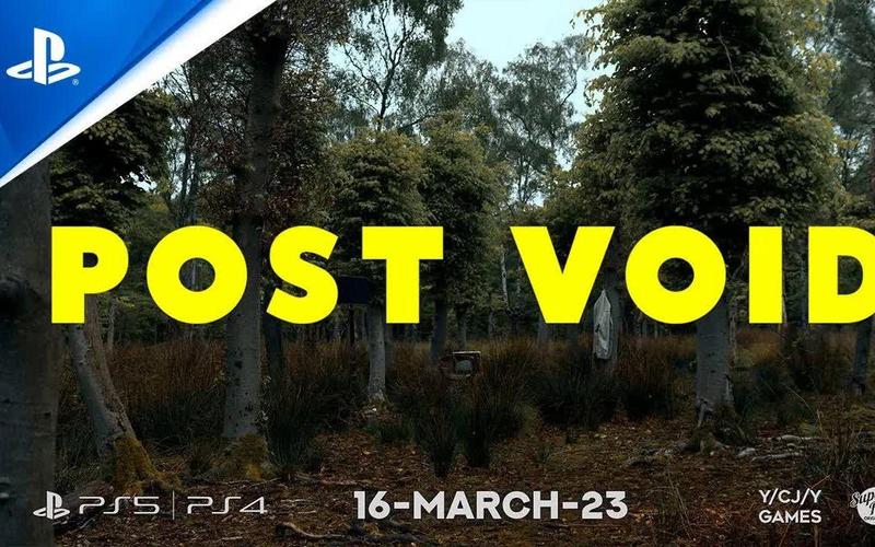 Post Void�ٷ������ؽ�ͼ