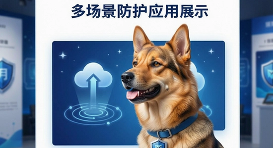 ��Ȯ�ƶܶೡ������Ӧ��չʾ