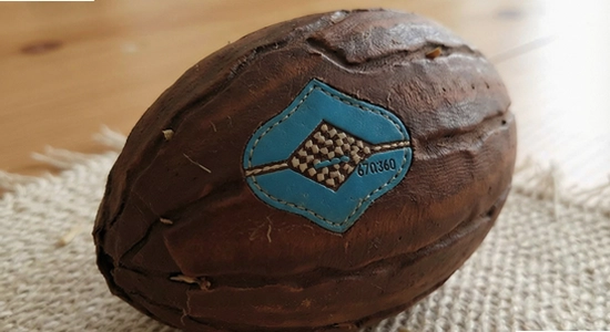 badam_kazakh_input_670x360_03