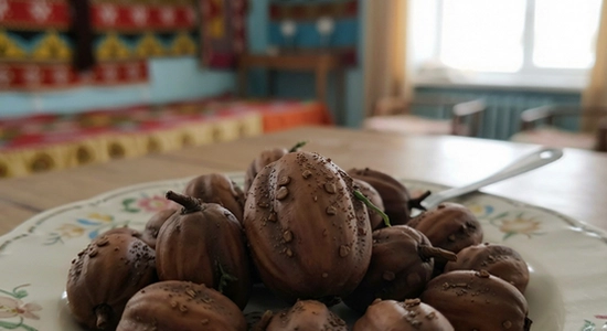 badam_kazakh_input_670x360_01