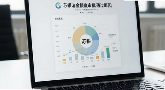 苏银消金额度审批不通过原因