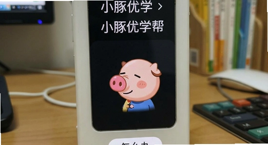 小豚优学帮安装后闪退怎么办