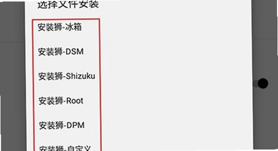 安装狮app官方正版下载 官方渠道识别 手机截图