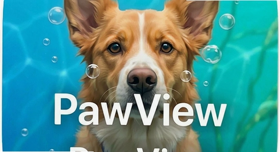 PawViewƻ����ʲôʱ���