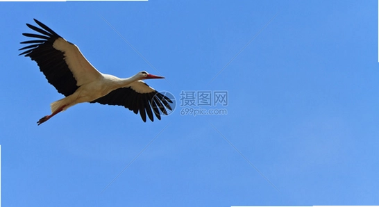 飞视浏览器tv版 安装报错 解析包错误 配图