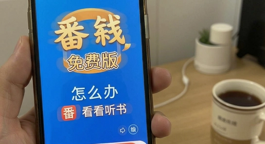 番看听书免费版安装失败怎么办