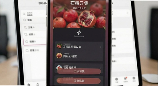 670*360 ʯ���Ƽ���˽��ȫ���ý���ʾ��ͼ