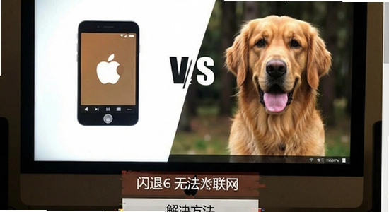 ����vs����ҳ�� ��װ���� ���� �޷����� �������