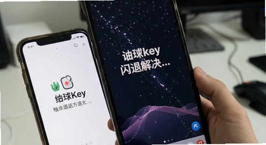 Wowkey闪退解决方法