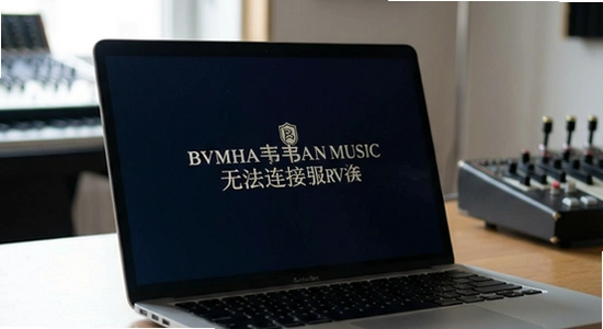 ����Τ��Music�޷����ӷ������������