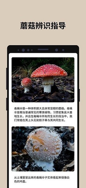 蘑菇识别扫一扫最新版下载(Picture Mushroom)截图