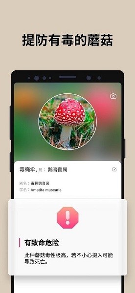 蘑菇识别扫一扫最新版下载(Picture Mushroom)截图