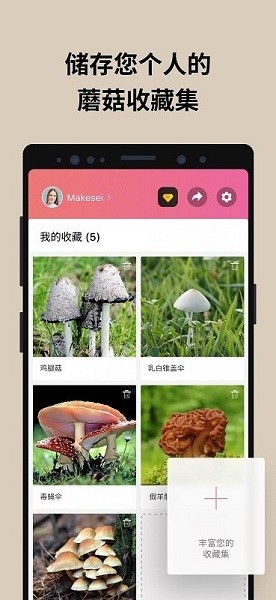 蘑菇识别扫一扫最新版下载(Picture Mushroom)截图