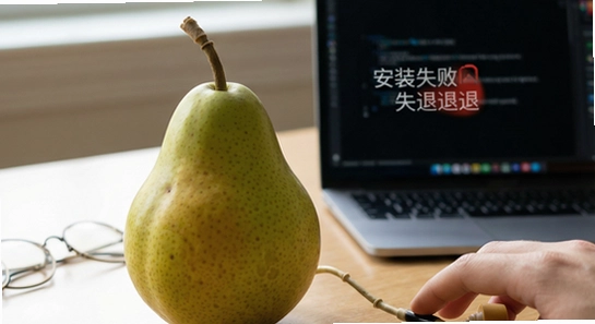 安静梨安装失败闪退解决方法