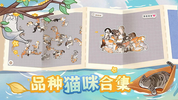 挤在一起的猫猫手游下载最新版截图