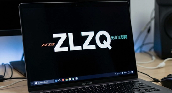 ZLZQ���˺����޷������������