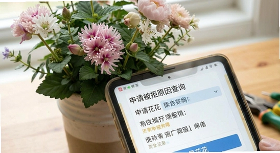 易花花申请被拒原因查询