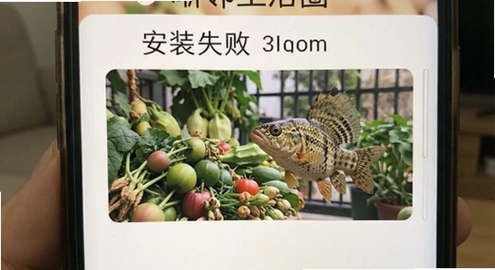 ��������Ȧ ��װʧ�� ����취