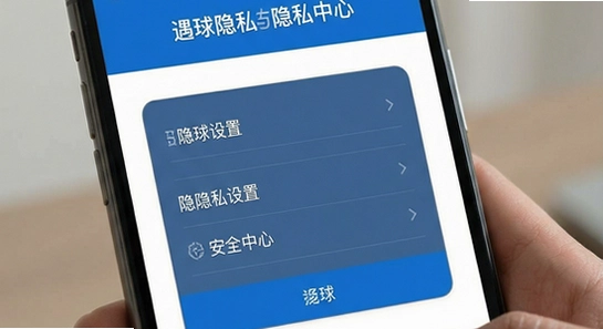 ������˽�����밲ȫ���Ľ���