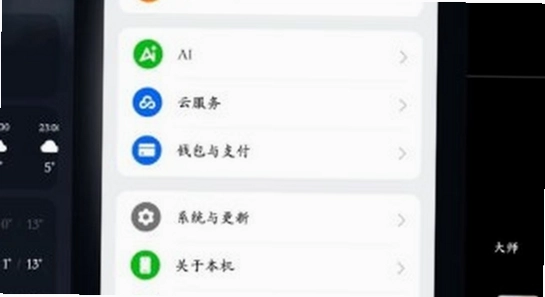 oppo系统桌面安装包官方版下载,桌面布局设置界面截图,无水印