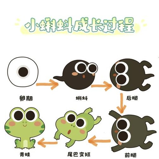 ������־����v1.0.1 ������¼