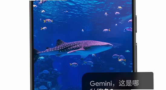�ȸ�Gemini���ذ�׿�� ��װ���� ɫ�ʷḻ ��ˮӡ ����ͼ