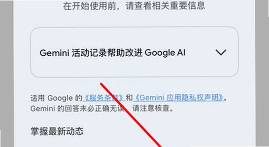 �ȸ�Gemini���ذ�׿�� ʹ�ý��� �Ի����� ����չʾ