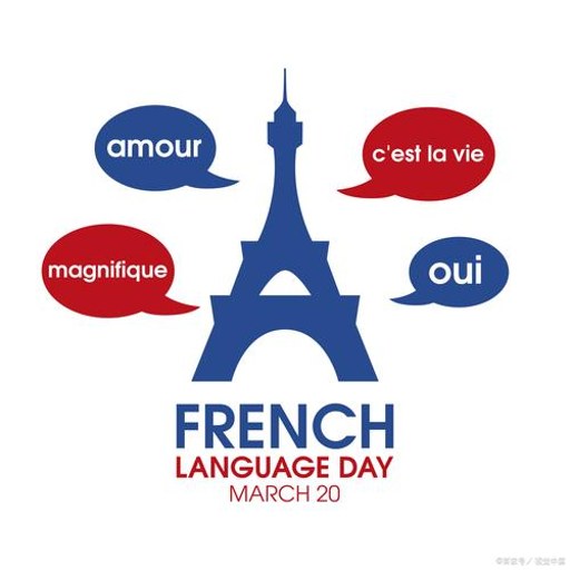 ������ѧ(French Self-Study)app����v26.09.22 ��������űر�