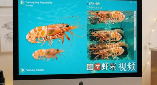 虾米视讯多场景使用展示