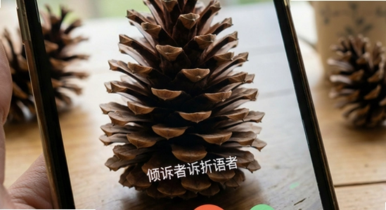 �ɹ���������������ͨ��û����