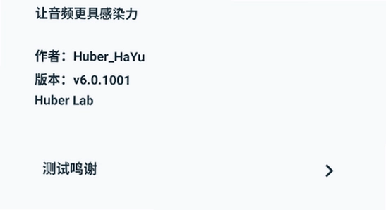HXAudio版本信息界面,关键词与版本确认相关
