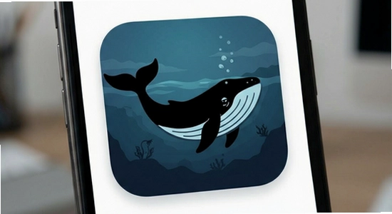 �ھ�app����չʾͼ