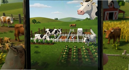 Big Farm��װ��������ô��